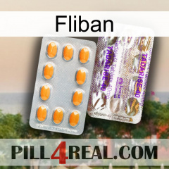 Fliban new12